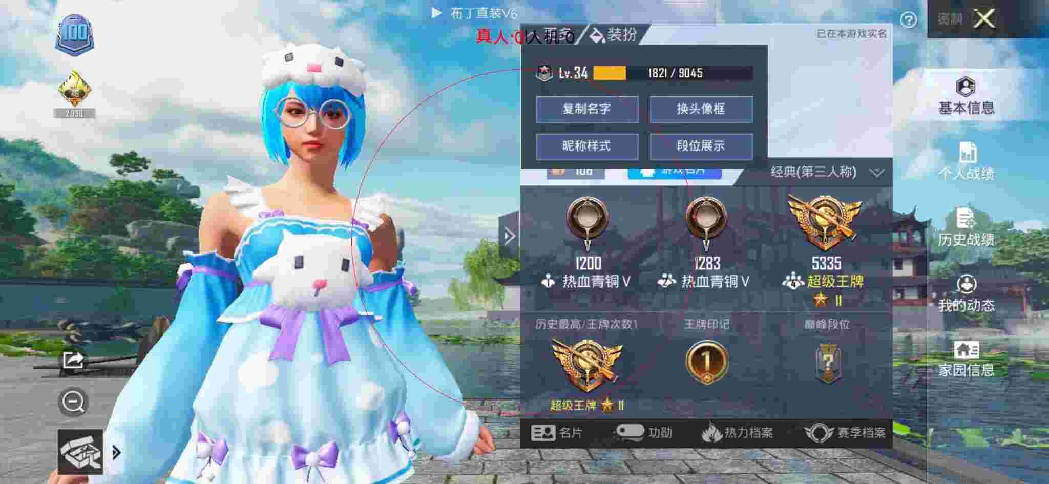 和平精英布丁直装透视 - 和平精英透视效果图大全辅助预览图